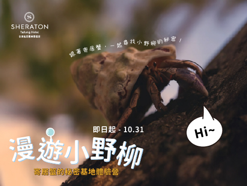 漫遊小野柳｜寄居蟹的秘密基地體驗營